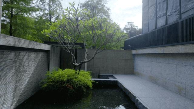 香港2亿豪宅装修,明星豪宅布局图