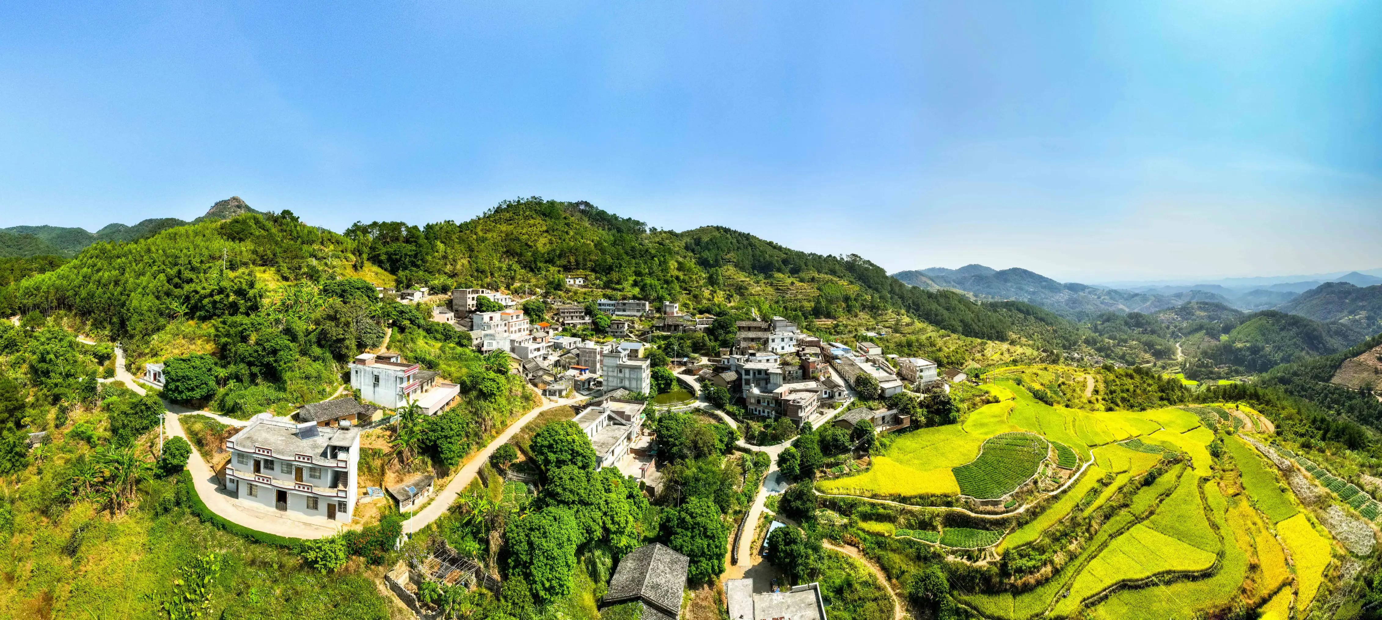 开方必用：主药大全集