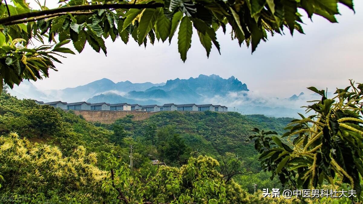 房劳虚损引起的问题,房劳透支引起四肢无力吗