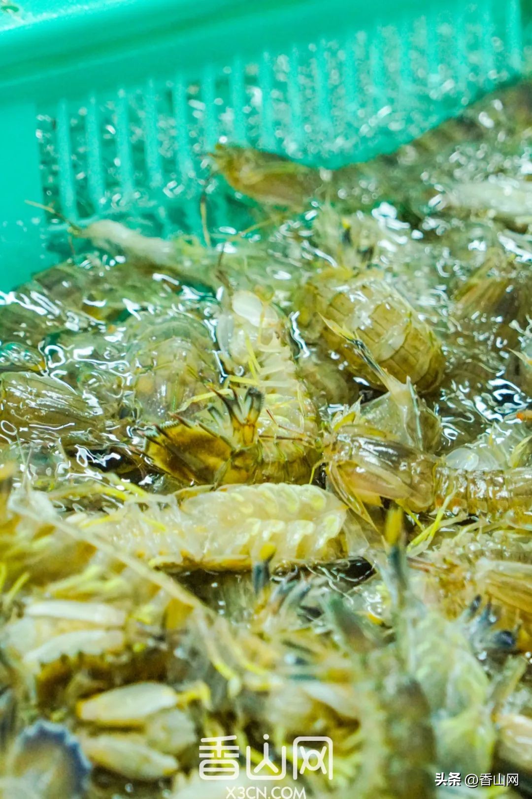 珠海专门吃海鲜地方,珠海海鲜市场吃海鲜哪里便宜