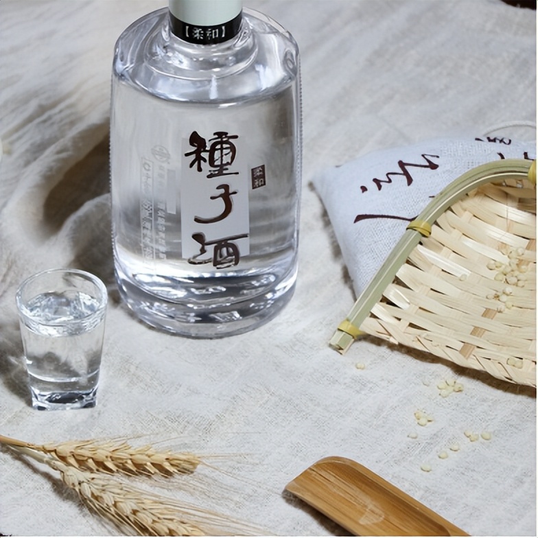 柔和种子酒,我的醉爱歌曲