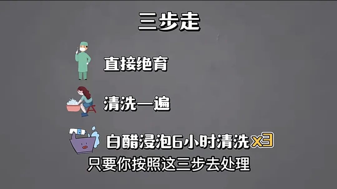 小红书萌宠博主怎么引流,小红书宠物博主5万一个月变现