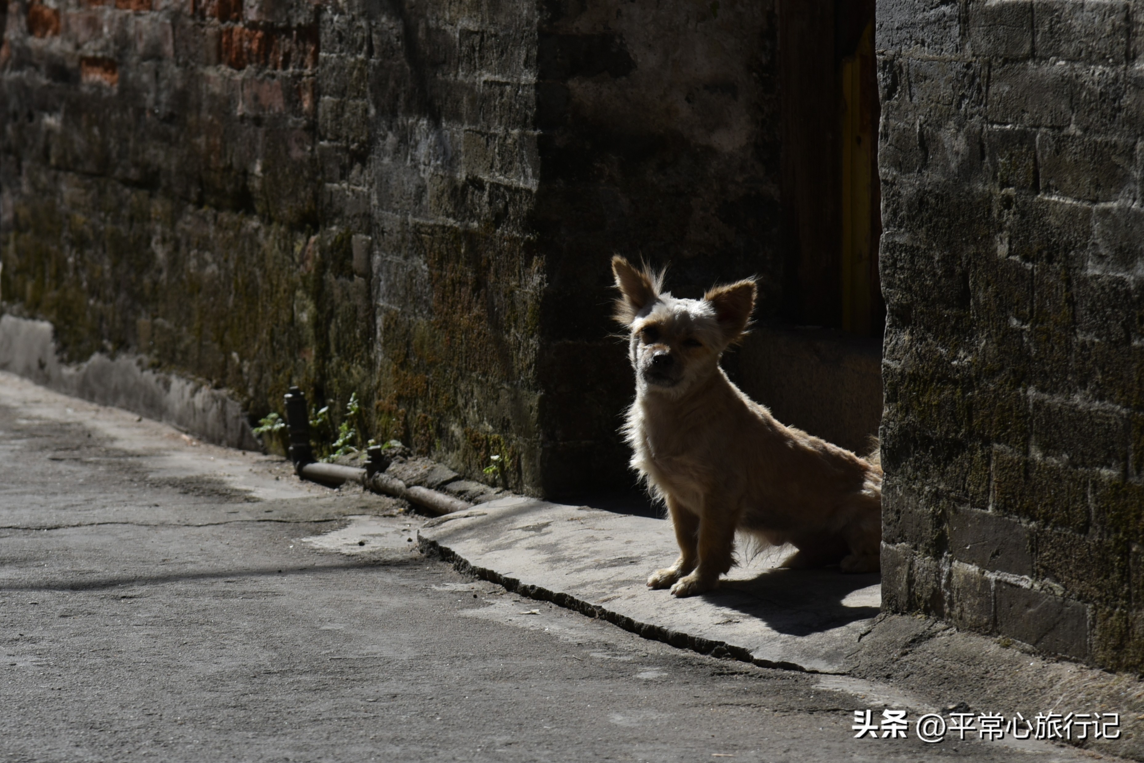 狂飙江门取景地打卡旧厂街,江门三十三墟街景点介绍