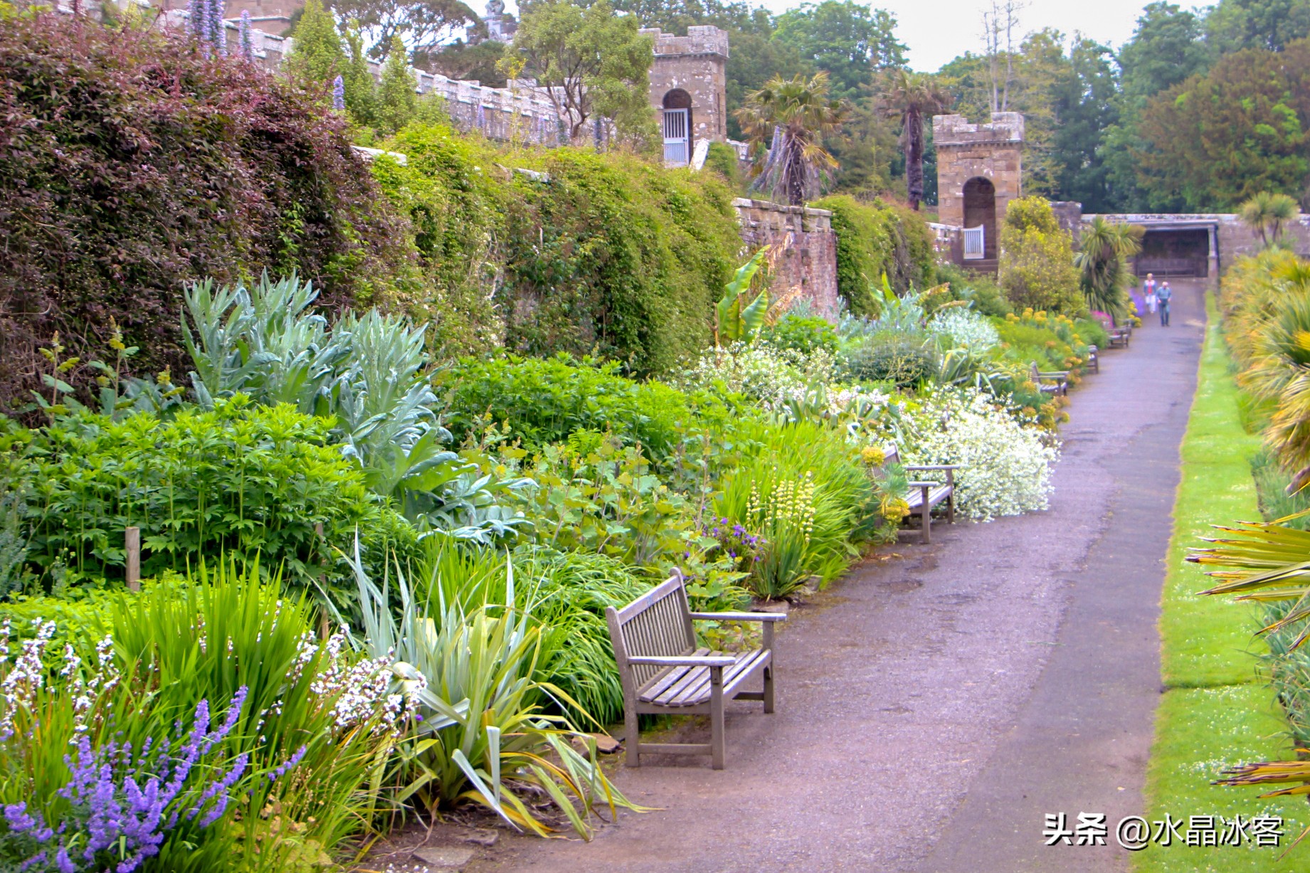 英国行（二）--苏格兰北爱尔兰和爱尔兰