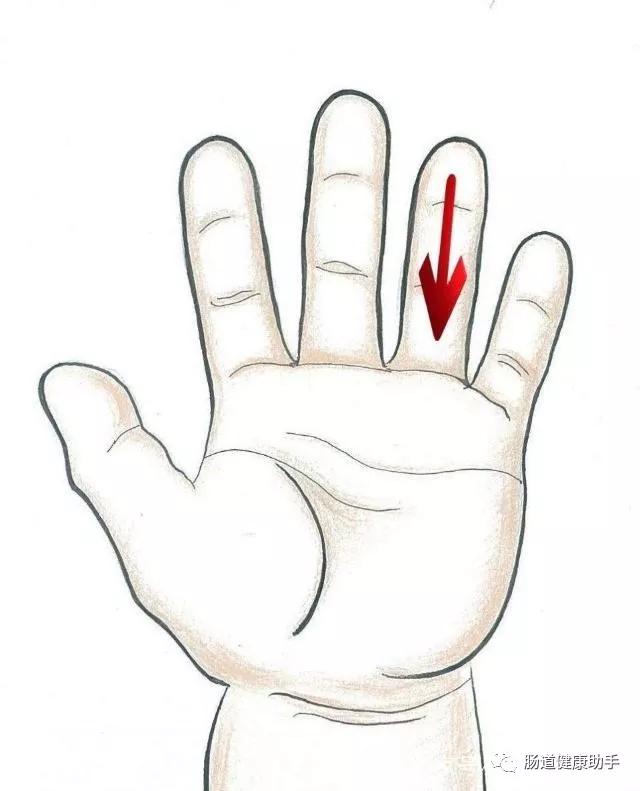 便秘不用愁舌象告诉你如何调理,便秘不吃药最快的一招通便