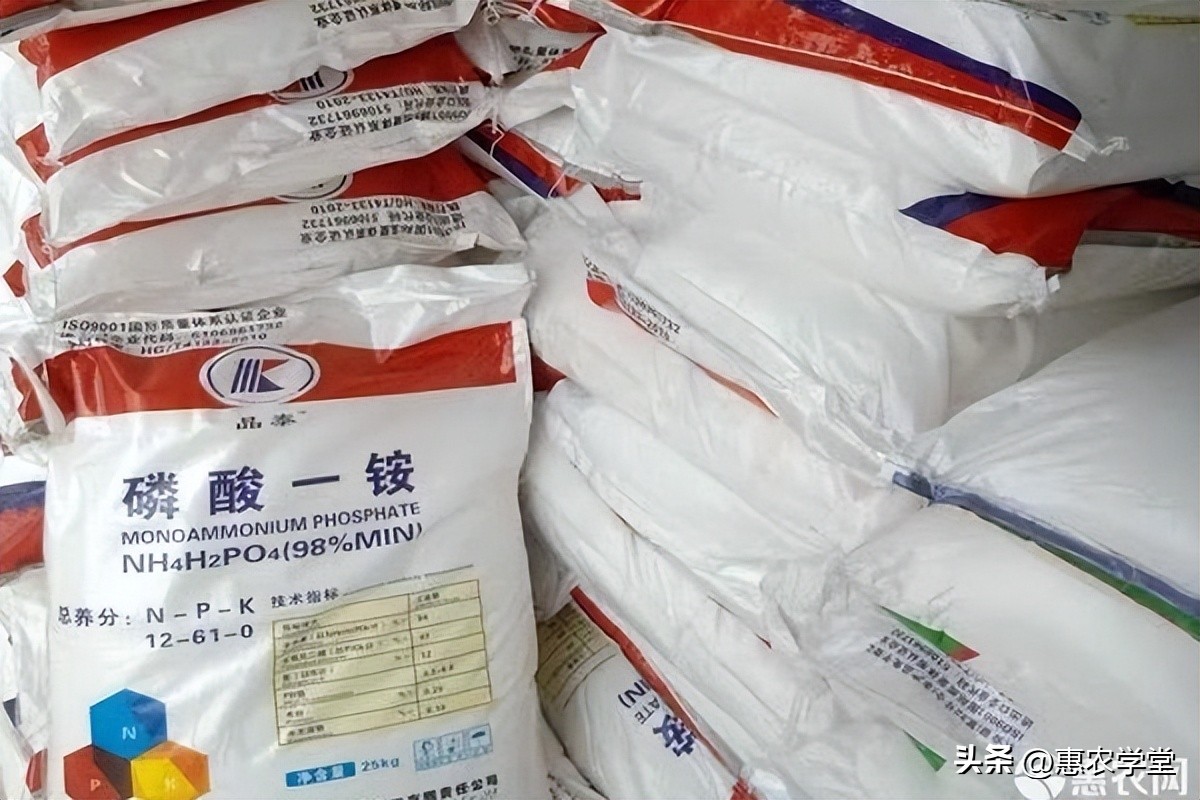 2023钢筋水泥价格行情,河南2023化肥价格最新行情