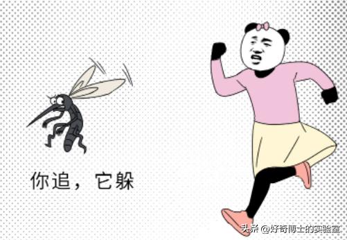 为什么蚊子只盯着你咬？有这几个特点的人，夏天要当心了！