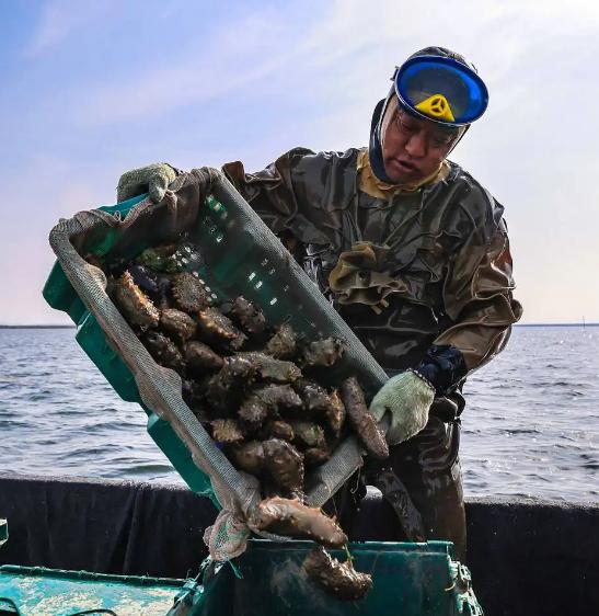 东北小伙一亿买石头,东北小伙花两亿买石头现状