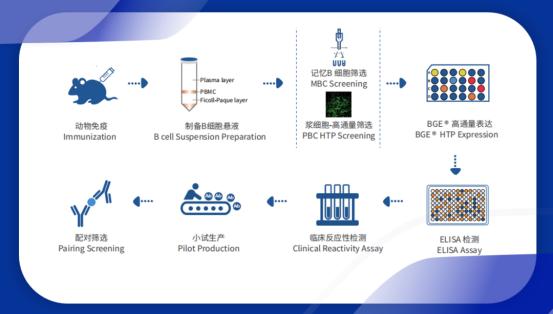 高灵敏度pcr检查乙肝dna,高灵敏度HBVDNA检测