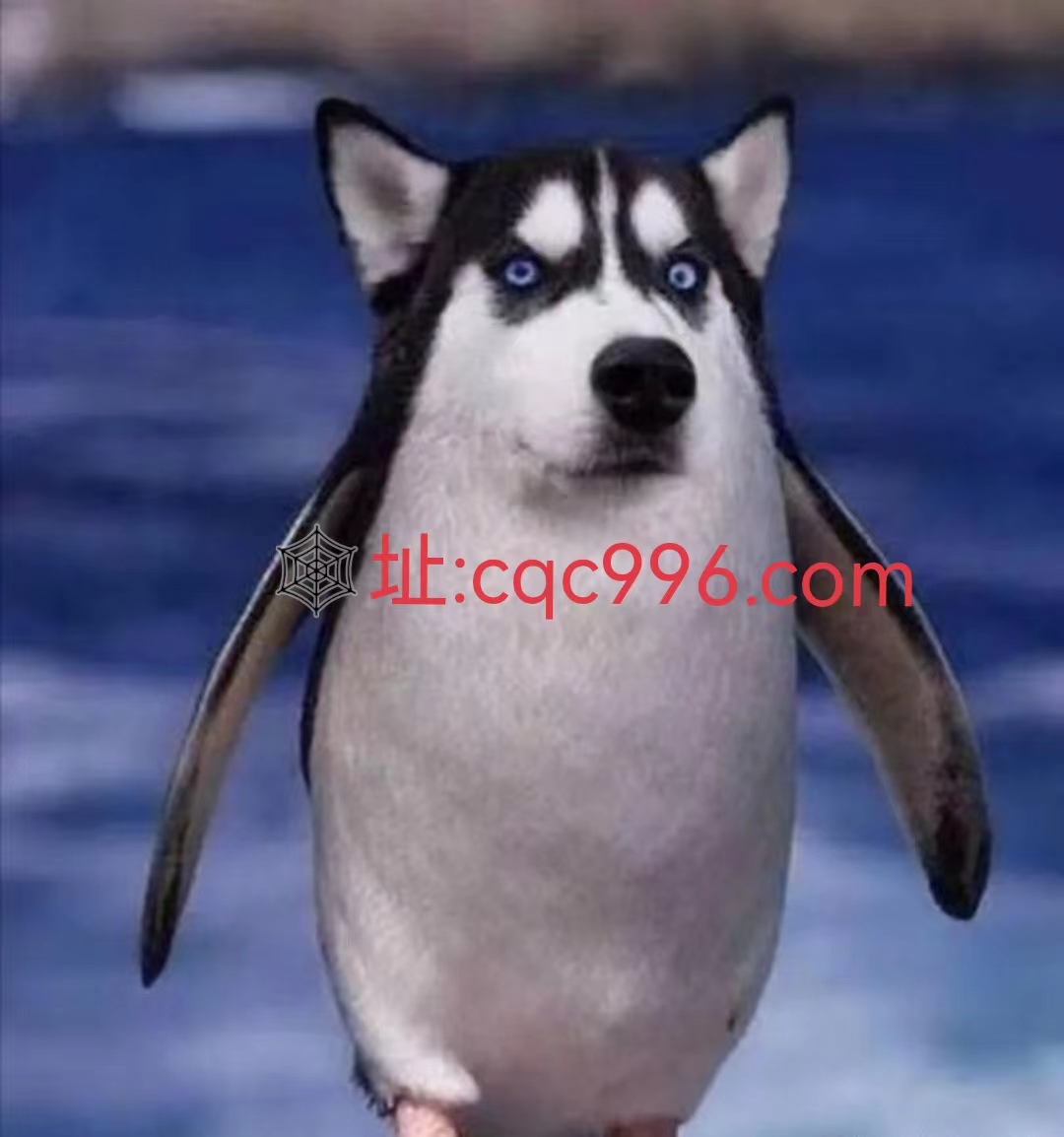 传世无双手游,目前人气最旺的传世手游传世无双