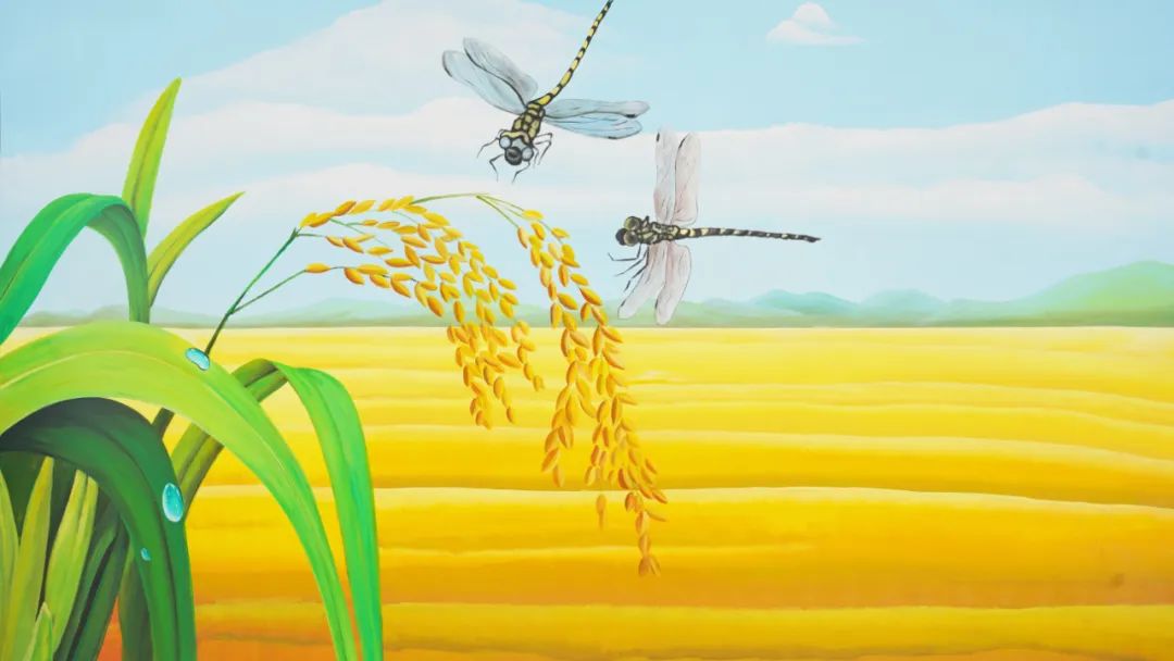 遇见彩虹打卡视频,遇见彩虹遇见美景