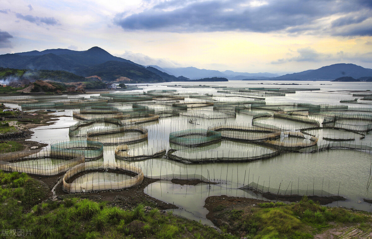 包船海钓初学者入门教程,拼船钓鱼