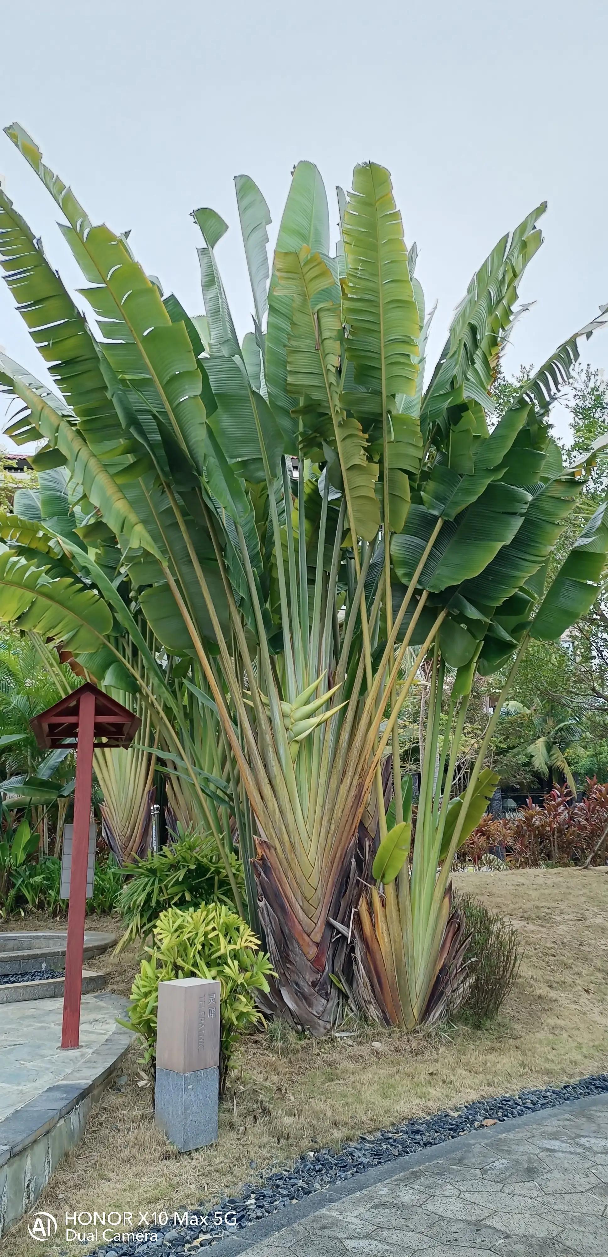 海南官塘温泉旅游攻略,海南官塘温泉休闲中心