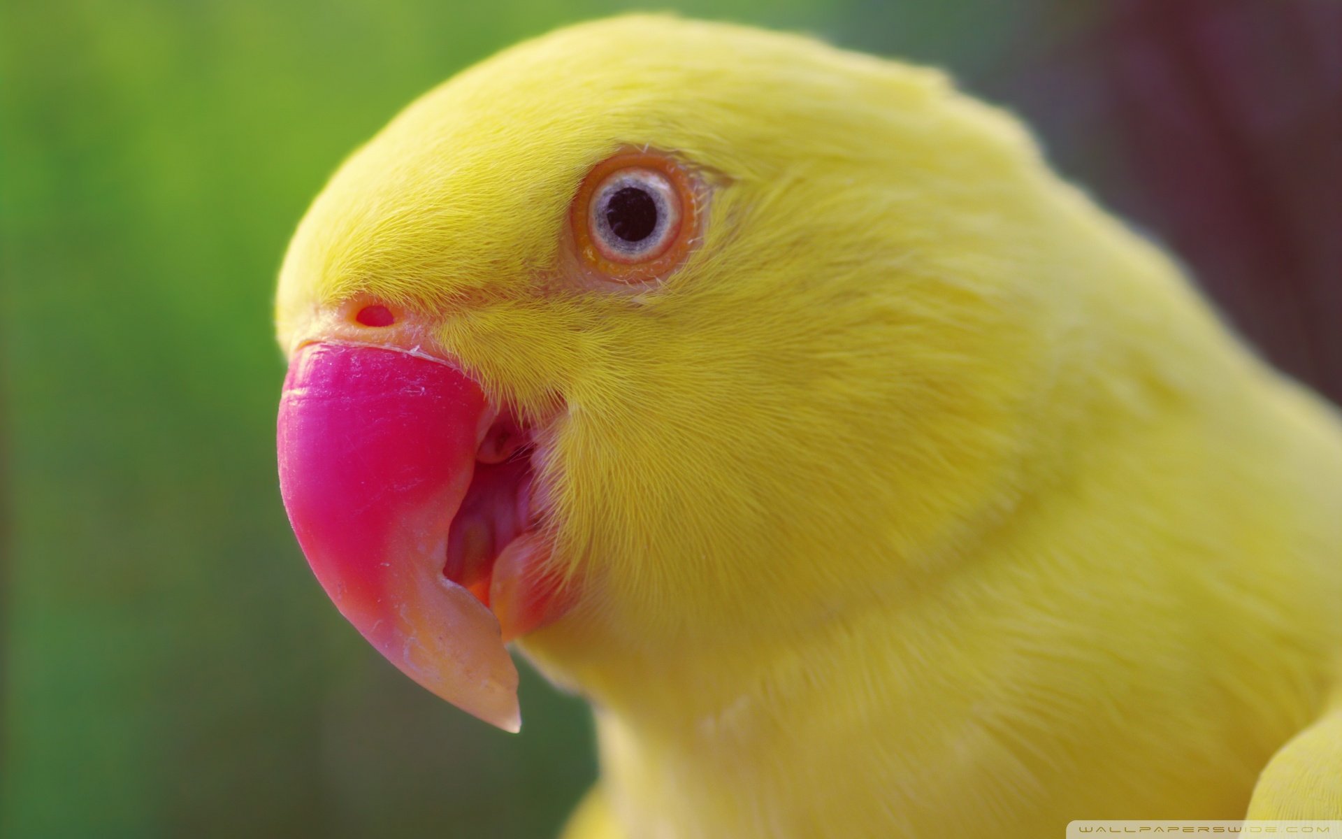超高清壁纸风格风景电脑桌面,高质量高清电脑桌面壁纸