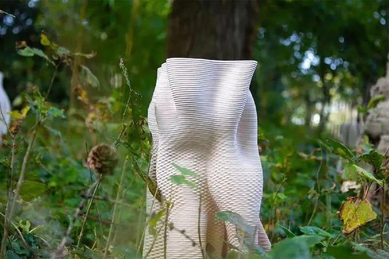 未之头条：重新认识霉菌，它除了变牛排还能盖房子