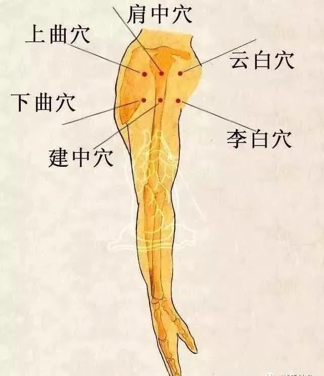 中医针灸泌尿系统疾病处方3