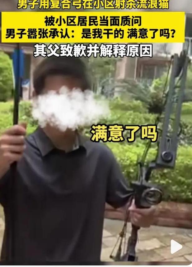 深圳弓箭射流浪猫警方介入,深圳男子用弓弩射杀流浪猫后续