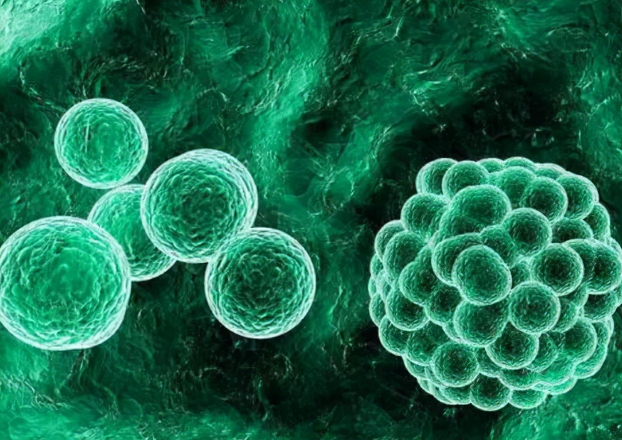 如果皮肤出现这些症状，及早做检查