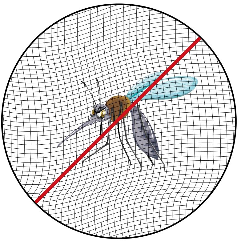为什么有些人更容易被蚊子叮,为什么有人更容易被蚊子叮