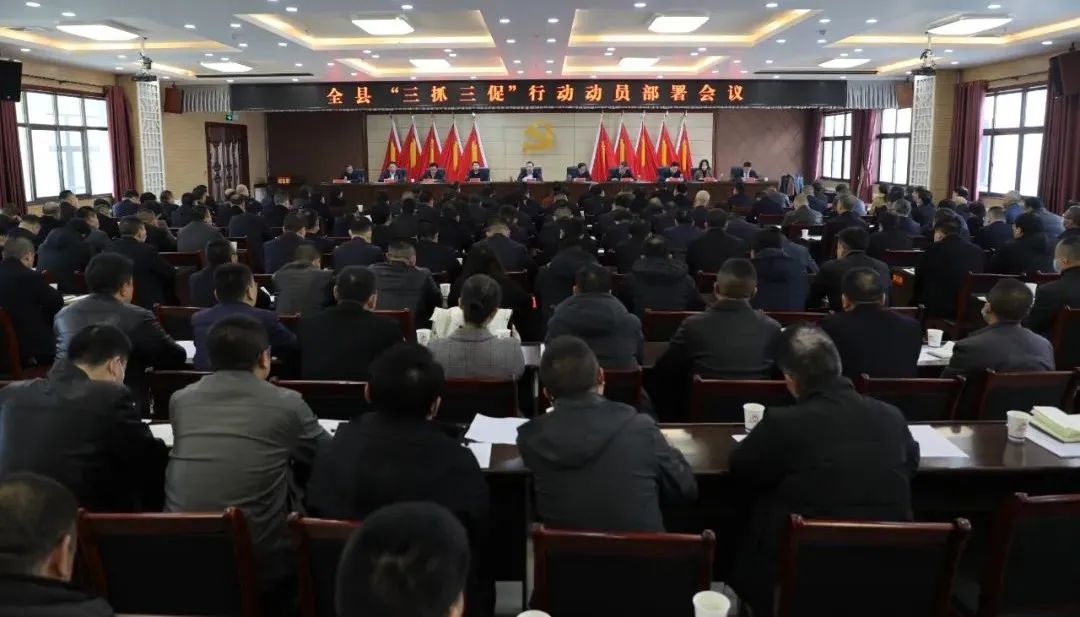 三抓三促专项行动学习,学习贯彻三抓三促行动研讨材料