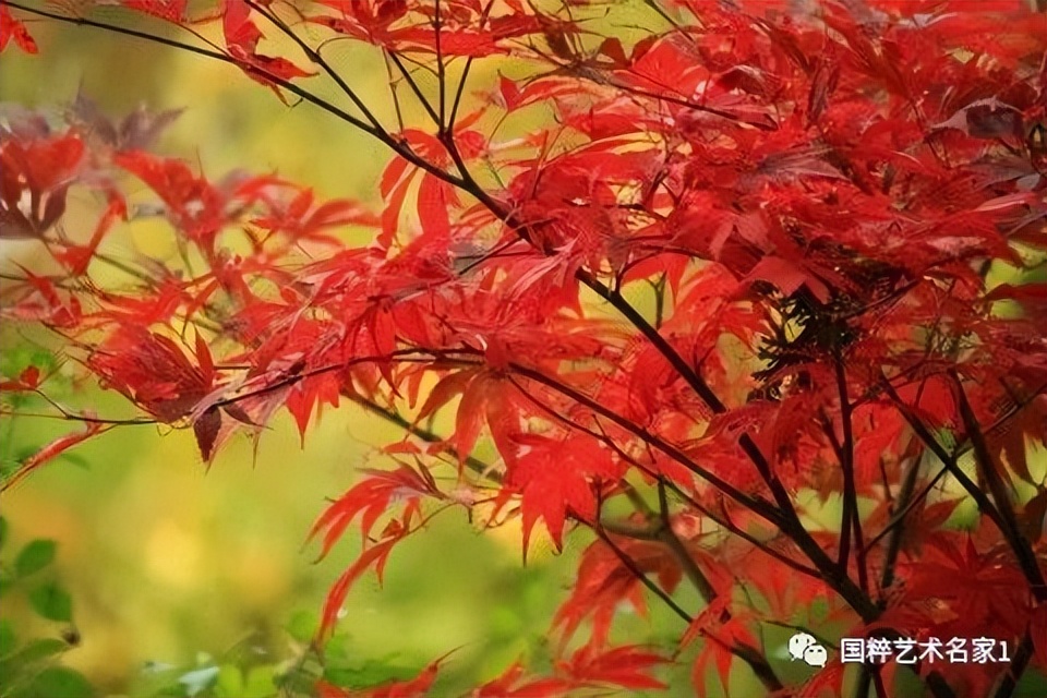 国粹艺术名家刘福生,海丰陈汉洲书法