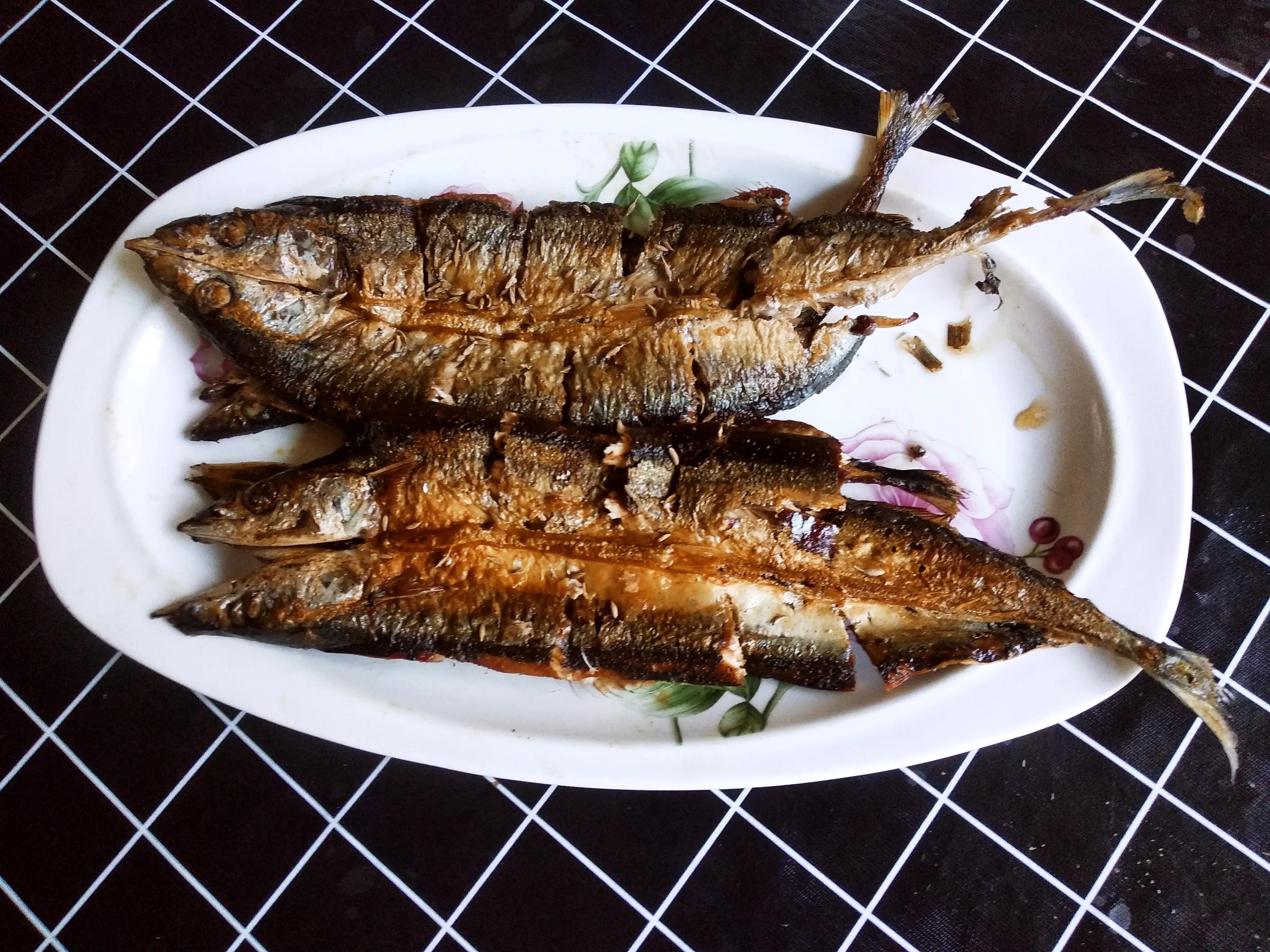 15种常见的海鱼,100种常见食用海鱼图谱