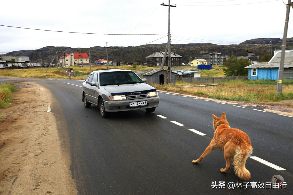 俄罗斯一月追极光攻略,俄罗斯追极光的地方