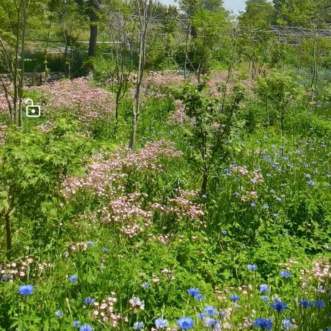 山东自驾游竹林小镇,五一自驾游推荐洞林湖