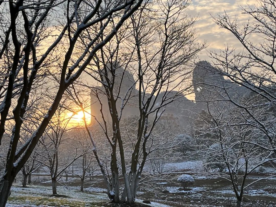 24节气大雪高清动图大图,大雪节气后就会下雪了吗