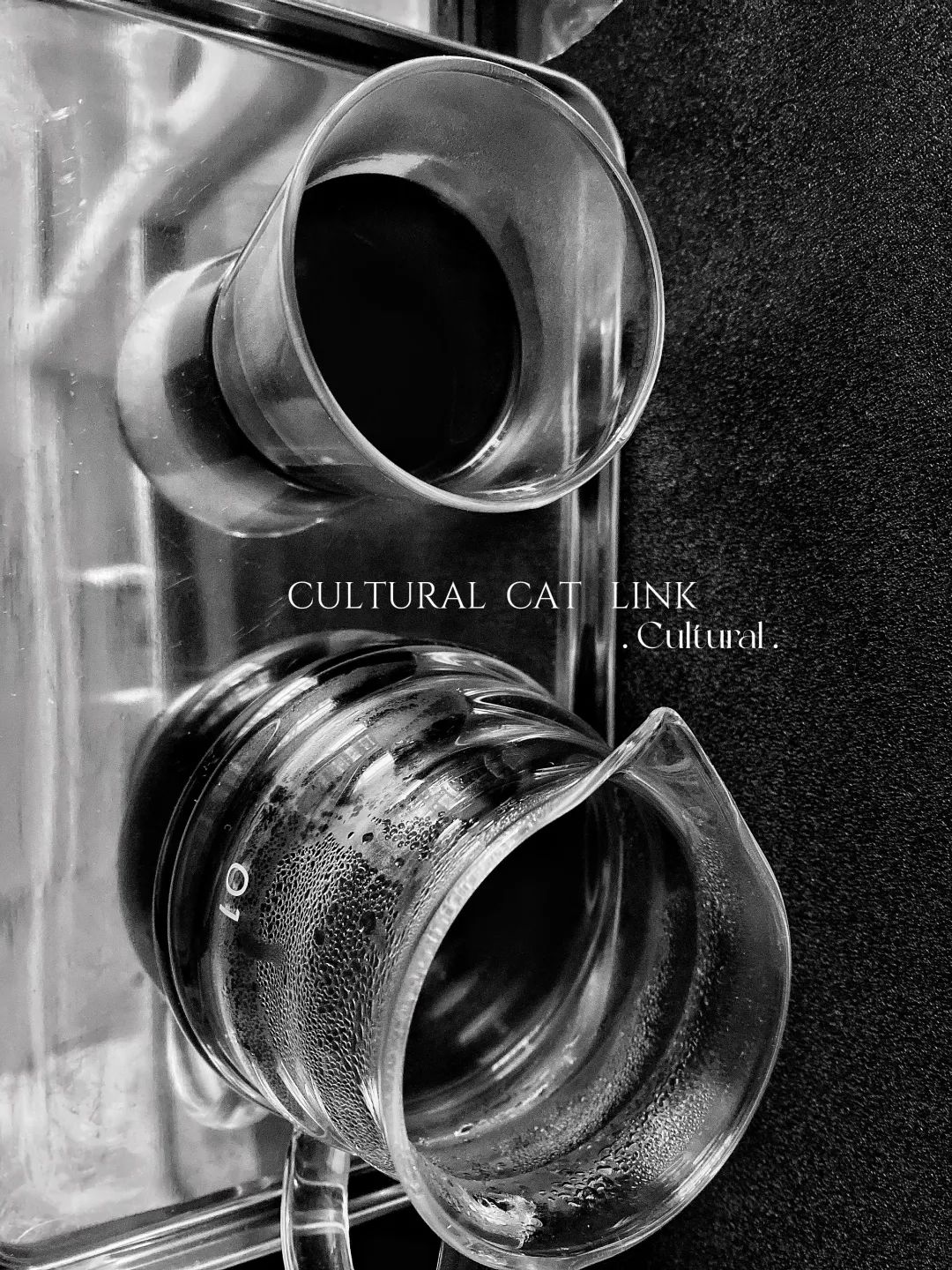 CULTURALCATLINK丨周三元气可还行？手冲咖啡秘密甜感能量补给②