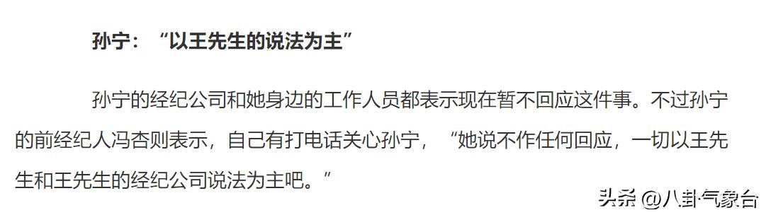 孙宁王学兵离婚原因,孙宁王学兵离婚