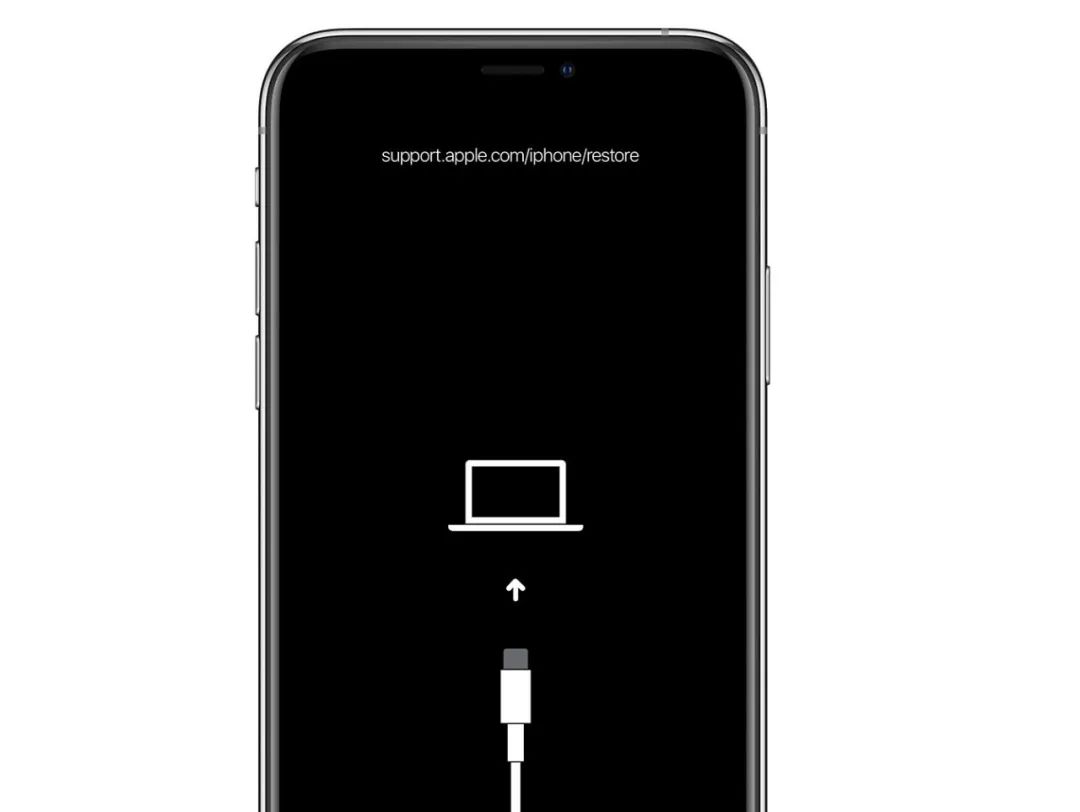 野生技：iOS16保资料降级指南，含白苹果与变砖抢救教程