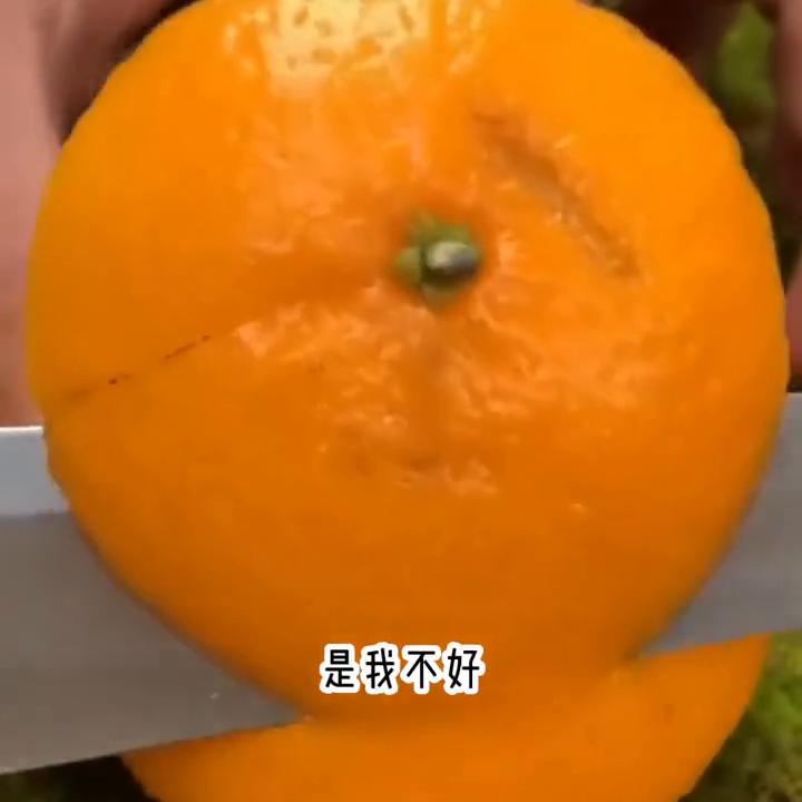 超级好看小说抢先看,炒鸡好看小说结局