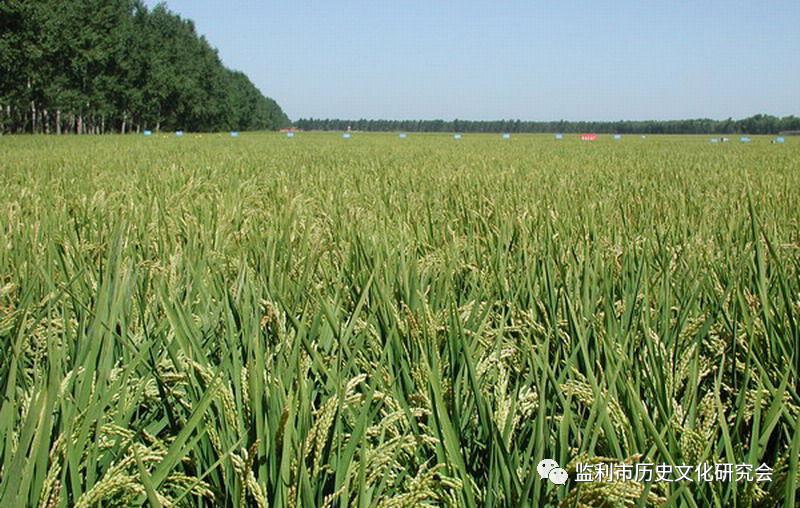 凝结历史沧桑的文化标识——“监利”市(县)名由来浅析