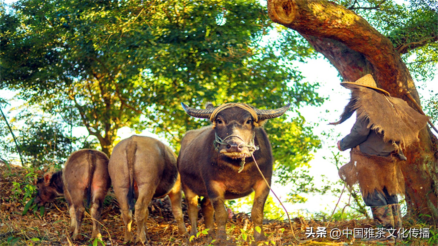 有一种幸福叫友情,幸福和谐的一家人
