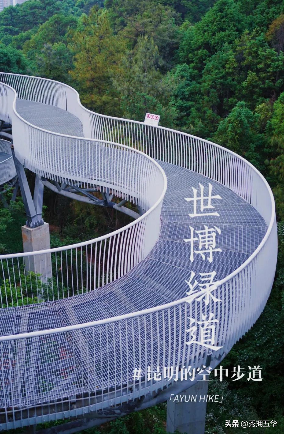 哇晒昆明|最爱为运动花钱的昆明人，有啥花样玩法？