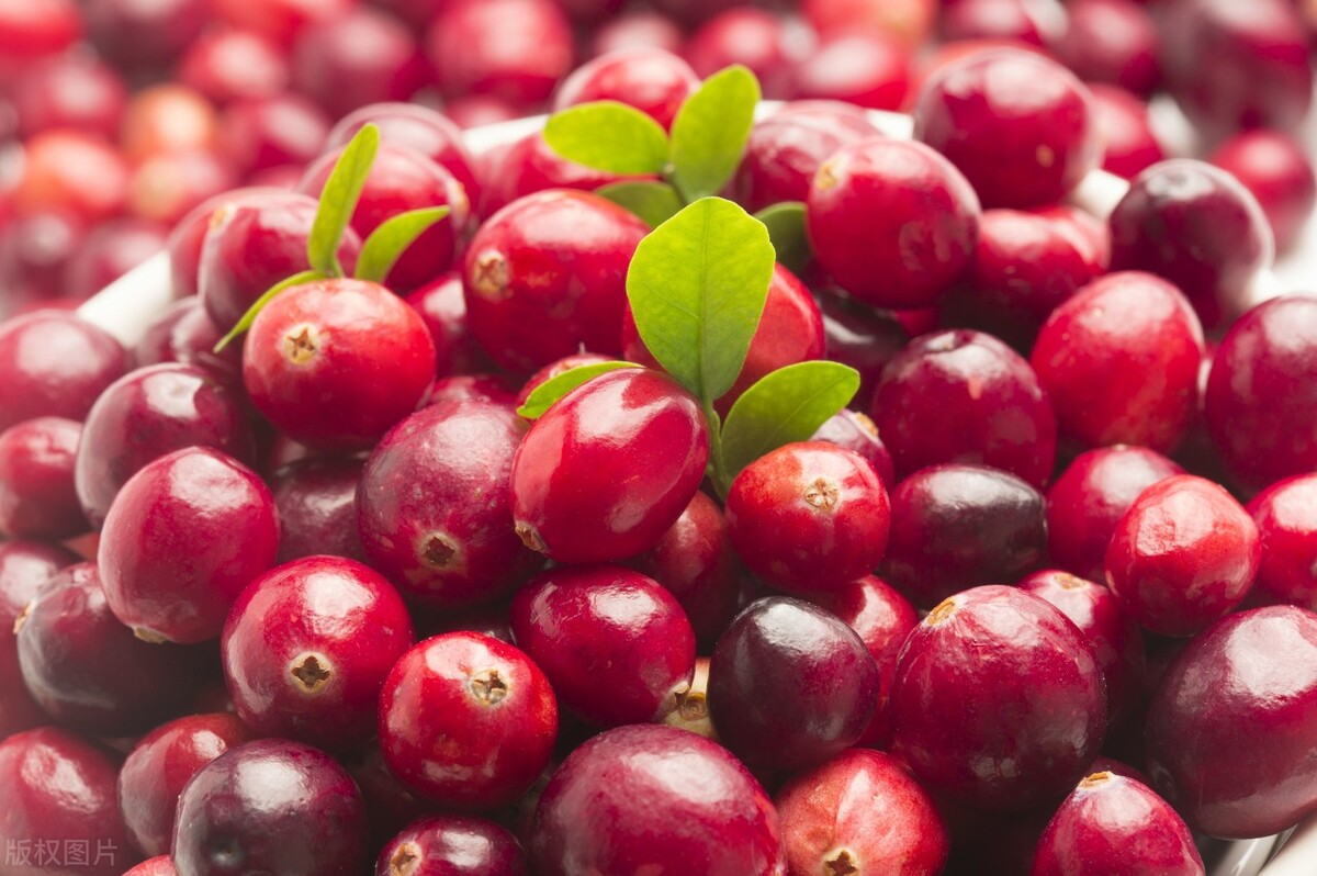 水果店免费送水果引流,水果店收入100万