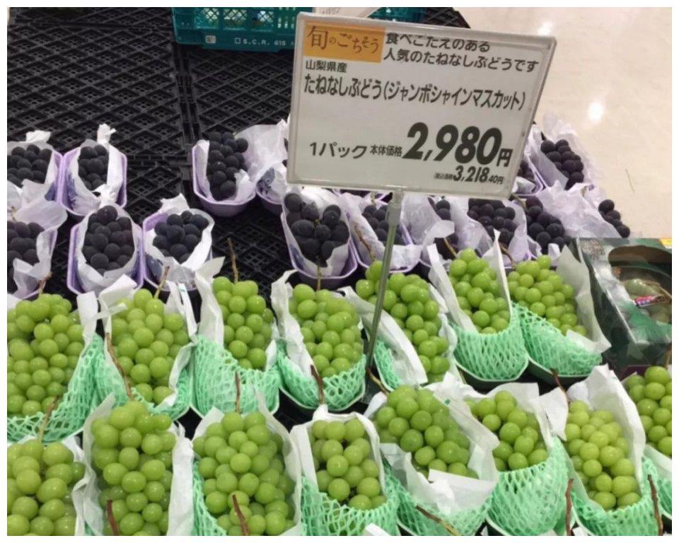 日本进口蜜瓜138元一瓣,日本天价的蜜瓜