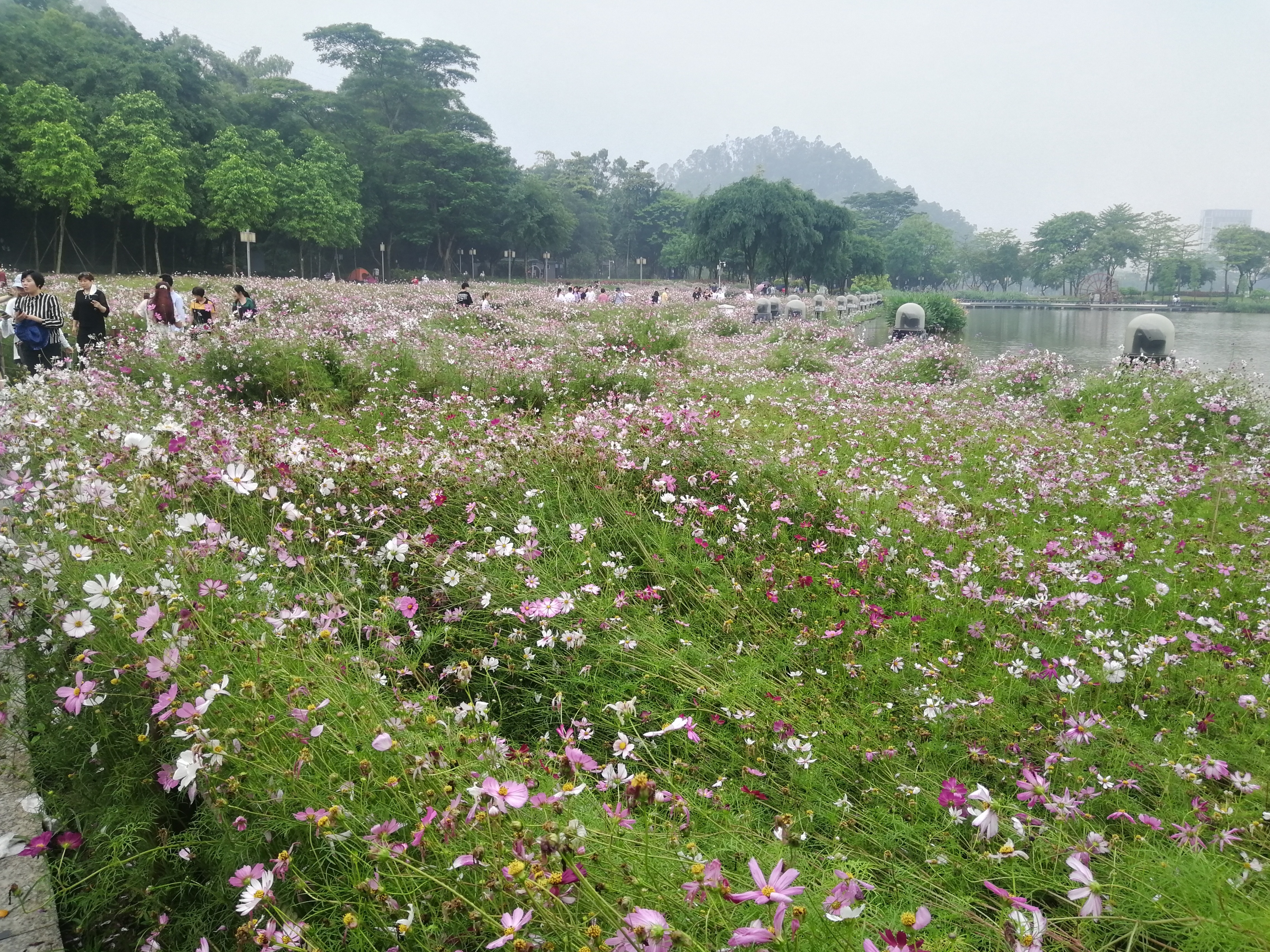 打卡广州地铁7号线,打卡广州最美7公里