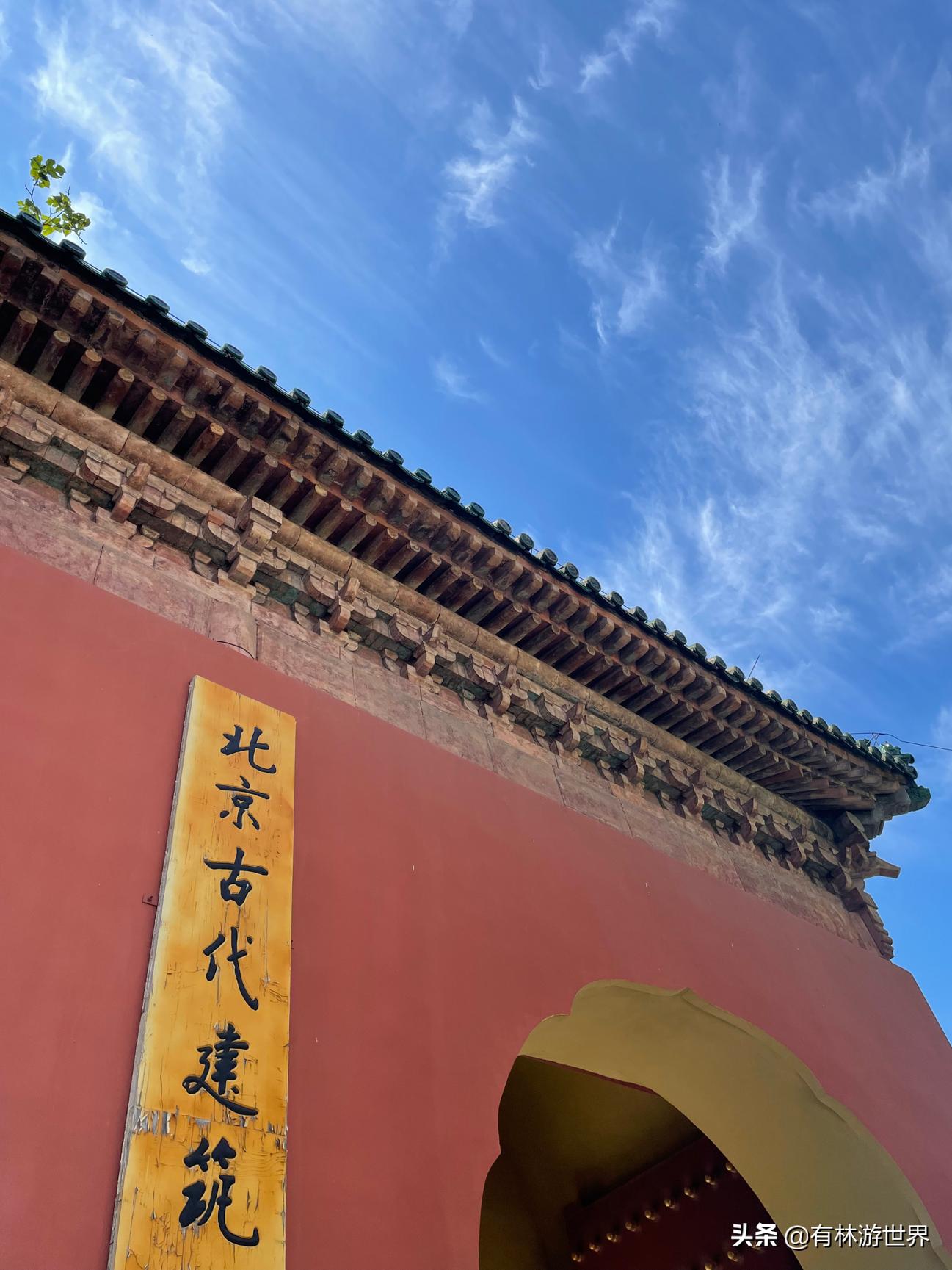 失业两年的旅游人,一个失业在家的旅游业者