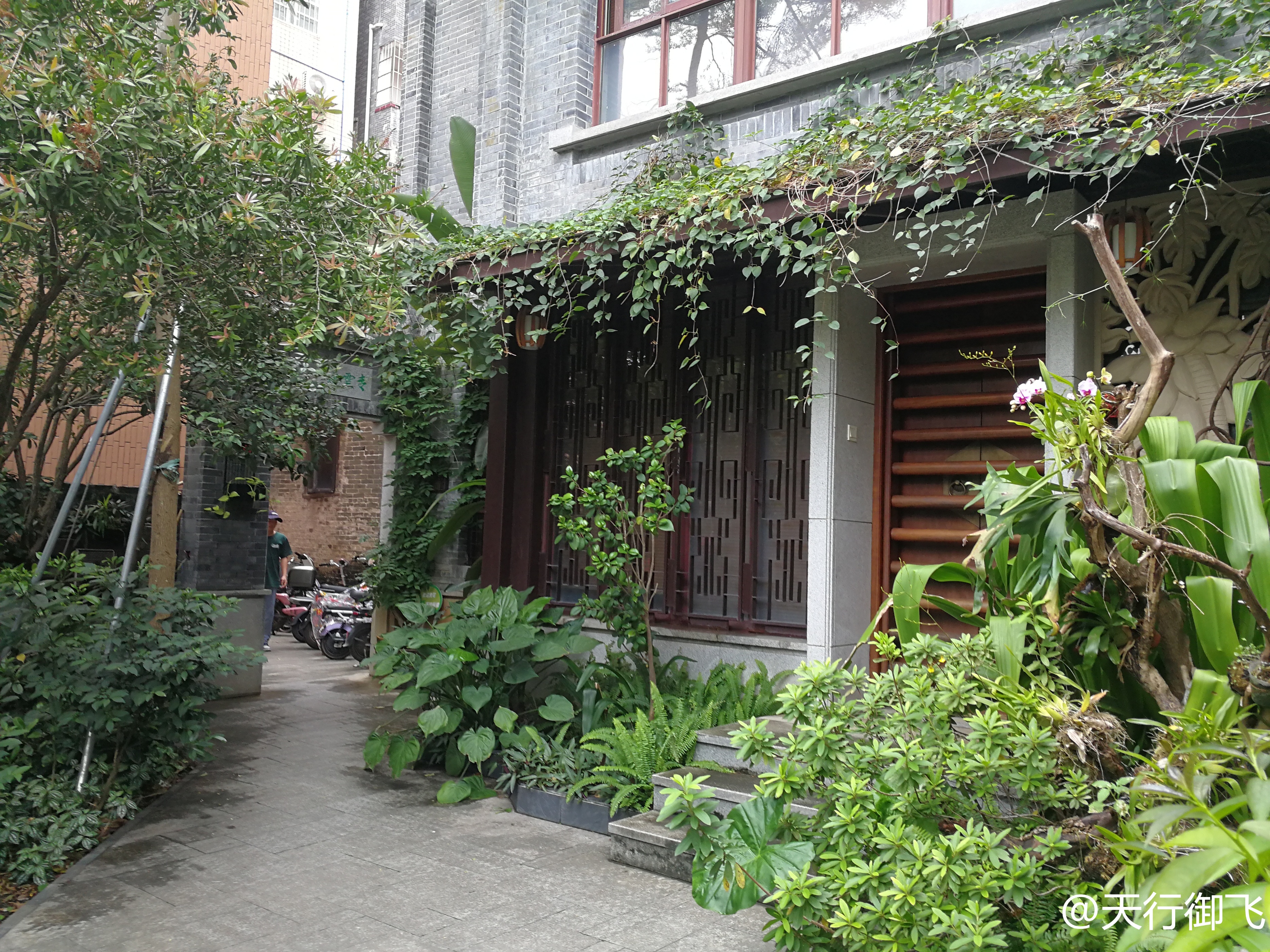 小洲村旅游景点地图,小洲村一日游最佳攻略