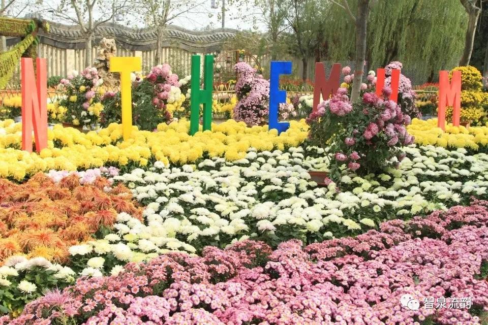 郭进拴作品大全,郭进拴最新演讲