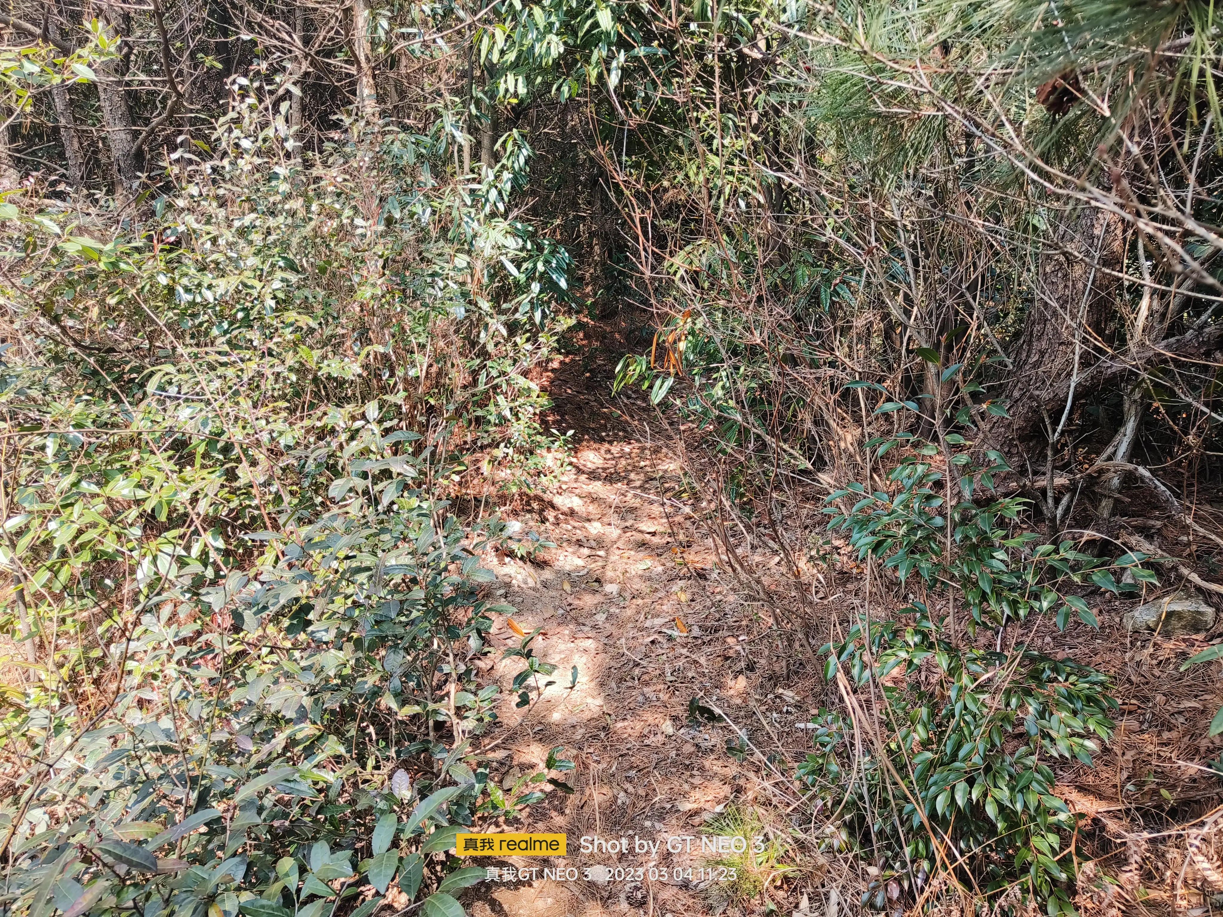 宁波五龙潭攻略,宁波五龙潭湖