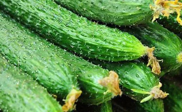 立秋这个节日是否每年都是8月7号,立秋节气的民间习俗及注意事项