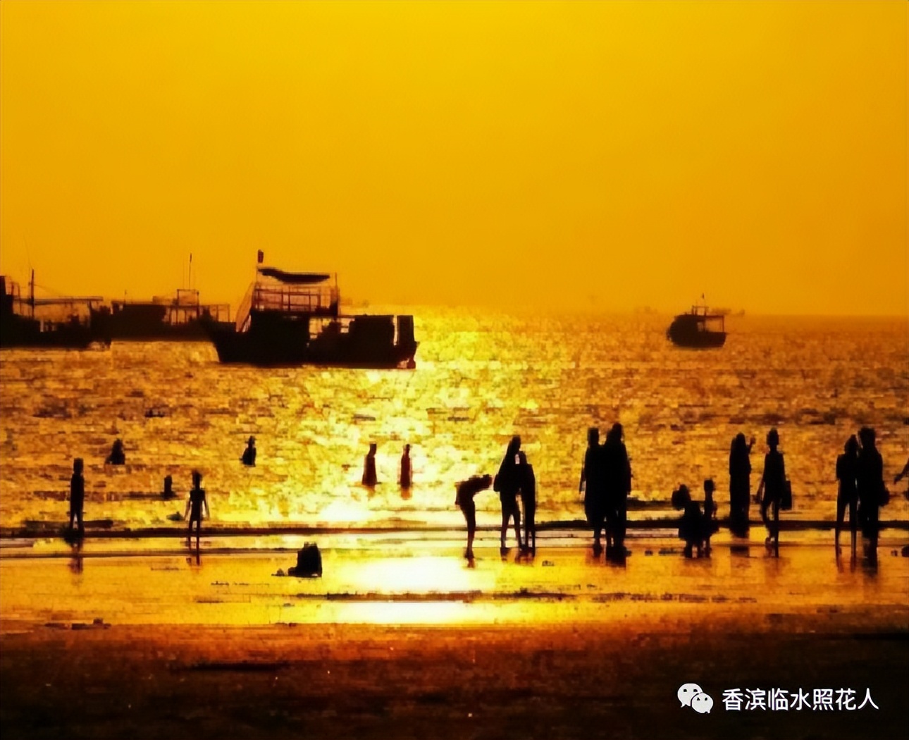 【思维导图“画”作文】王俊廷的看图写话——金色的沙滩（7）