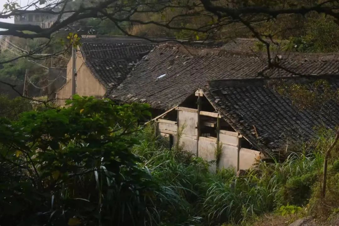 世界上被遗忘的小岛,大海中的神秘无人小岛