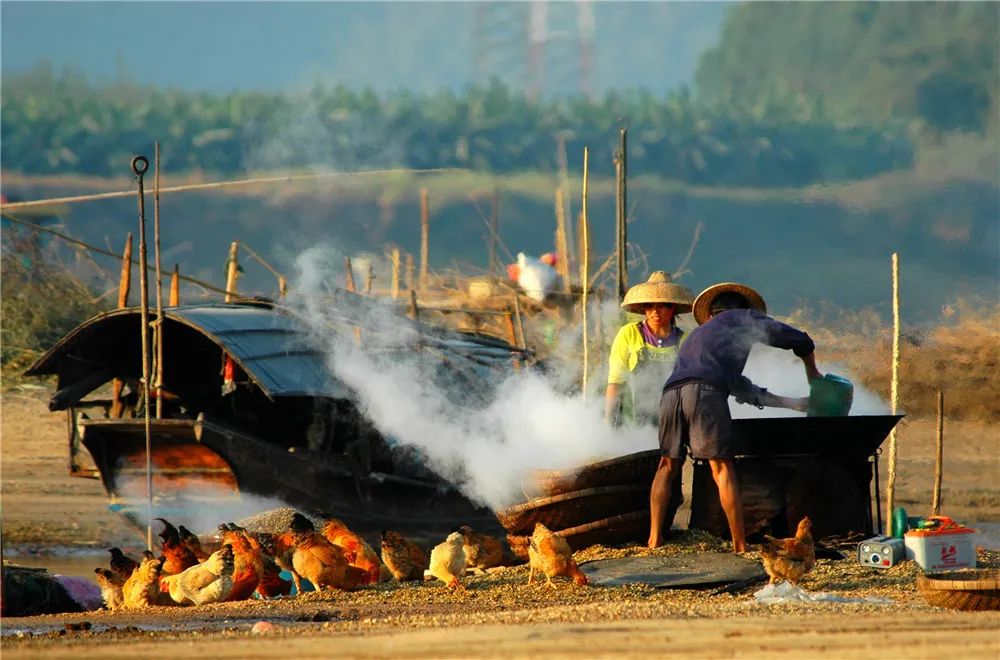 津门网郭冀华：水上古村落——大塘渔村