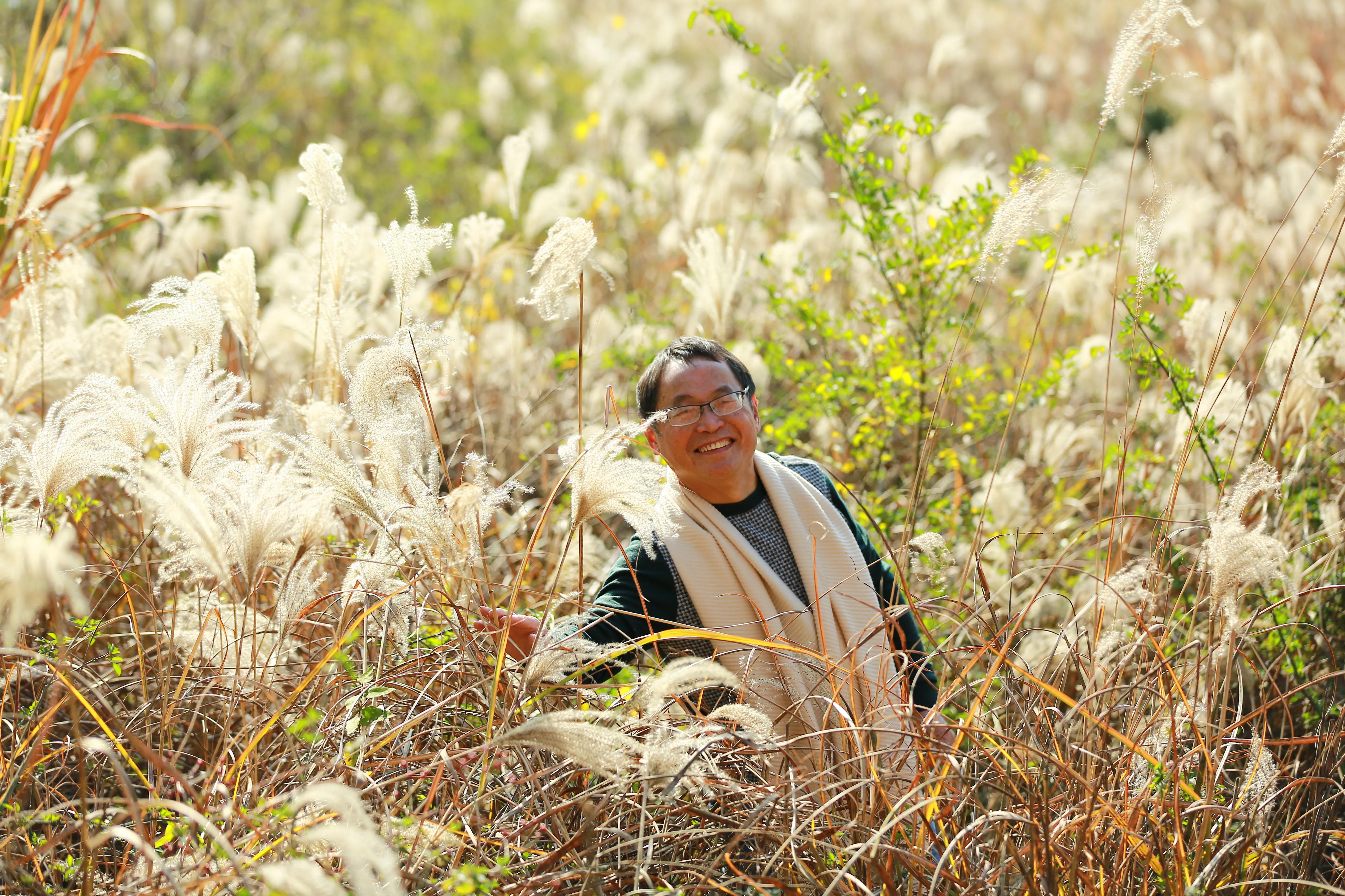 红杉林之恋,红杉林之恋完整版