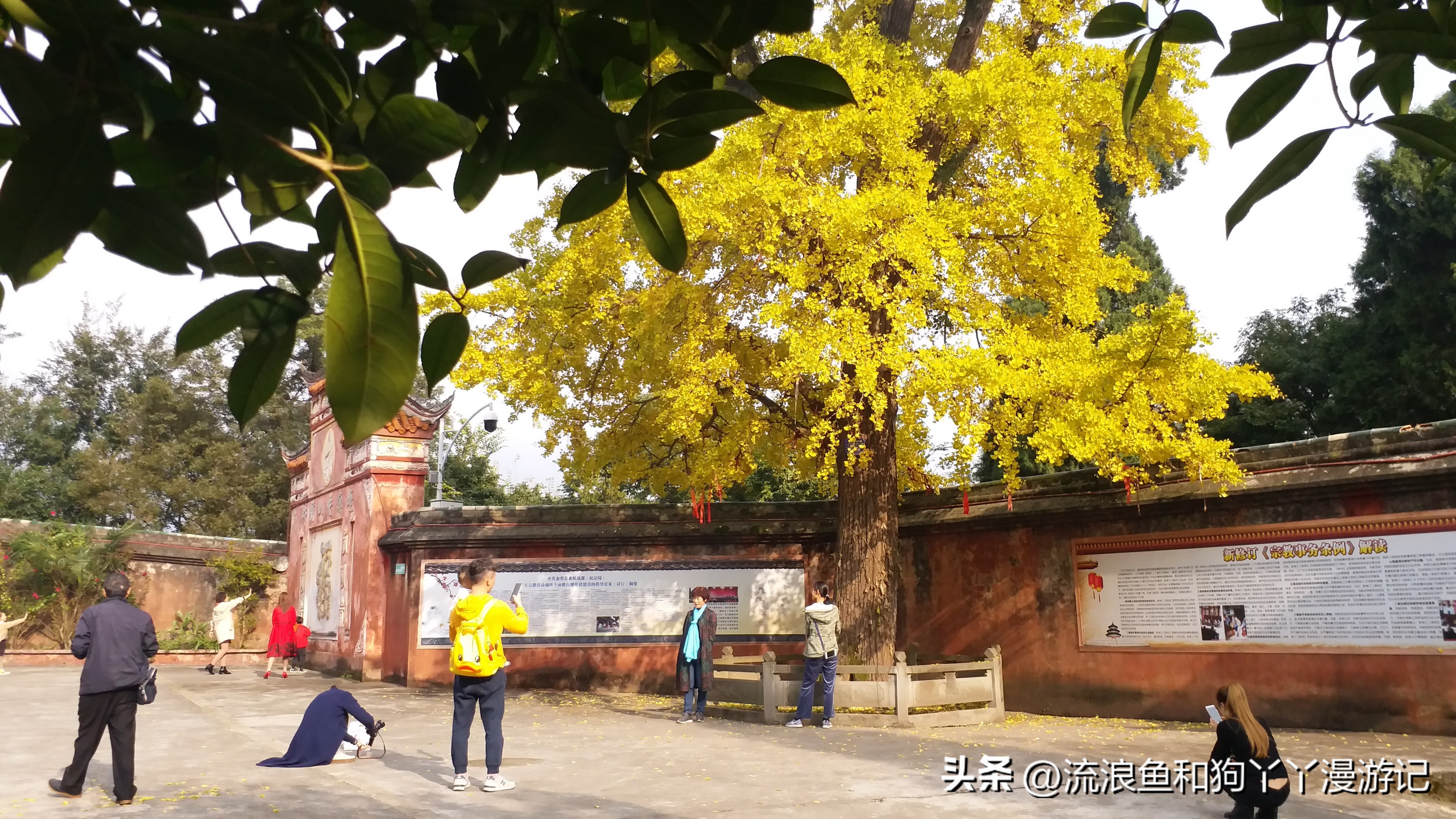 四月份成都近郊一日游好去处,2022成都近郊看雪一日游最佳去处