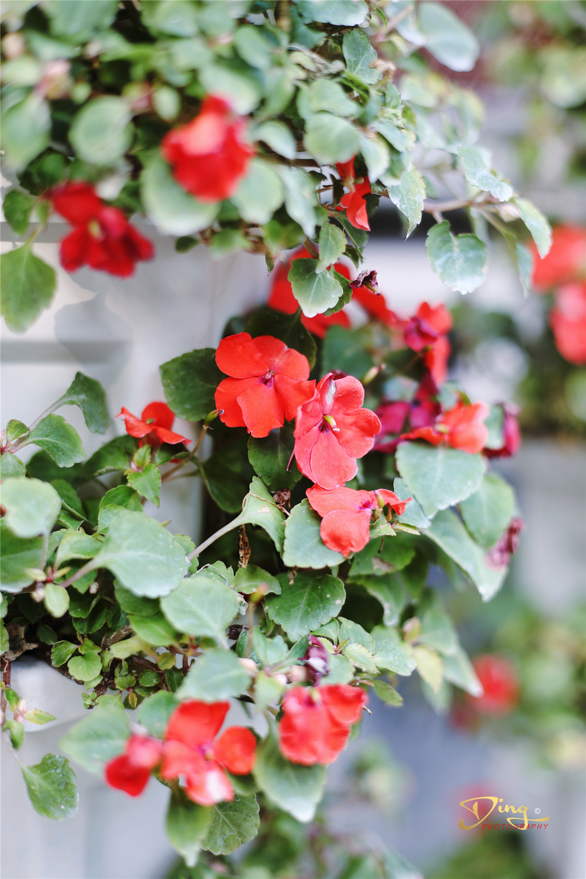 苏州东太湖游玩攻略,春节东太湖旅游攻略